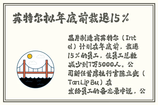 91黄高风险